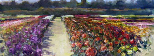 bloemenveld buurtschap berk