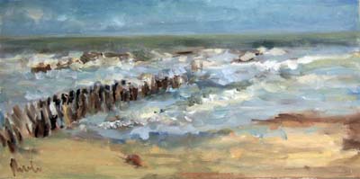 stormzicht vanaf duin