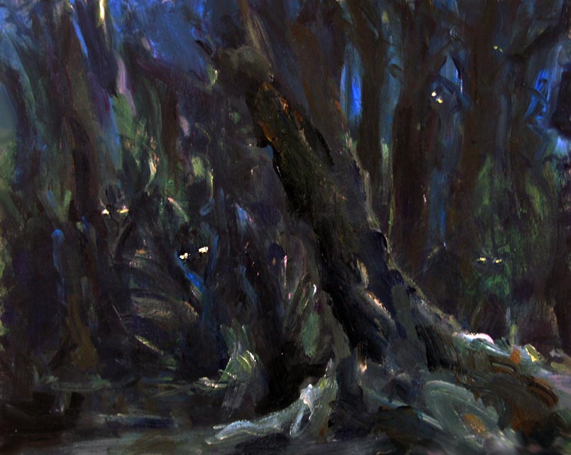 mieke van zundert, decorontwerp